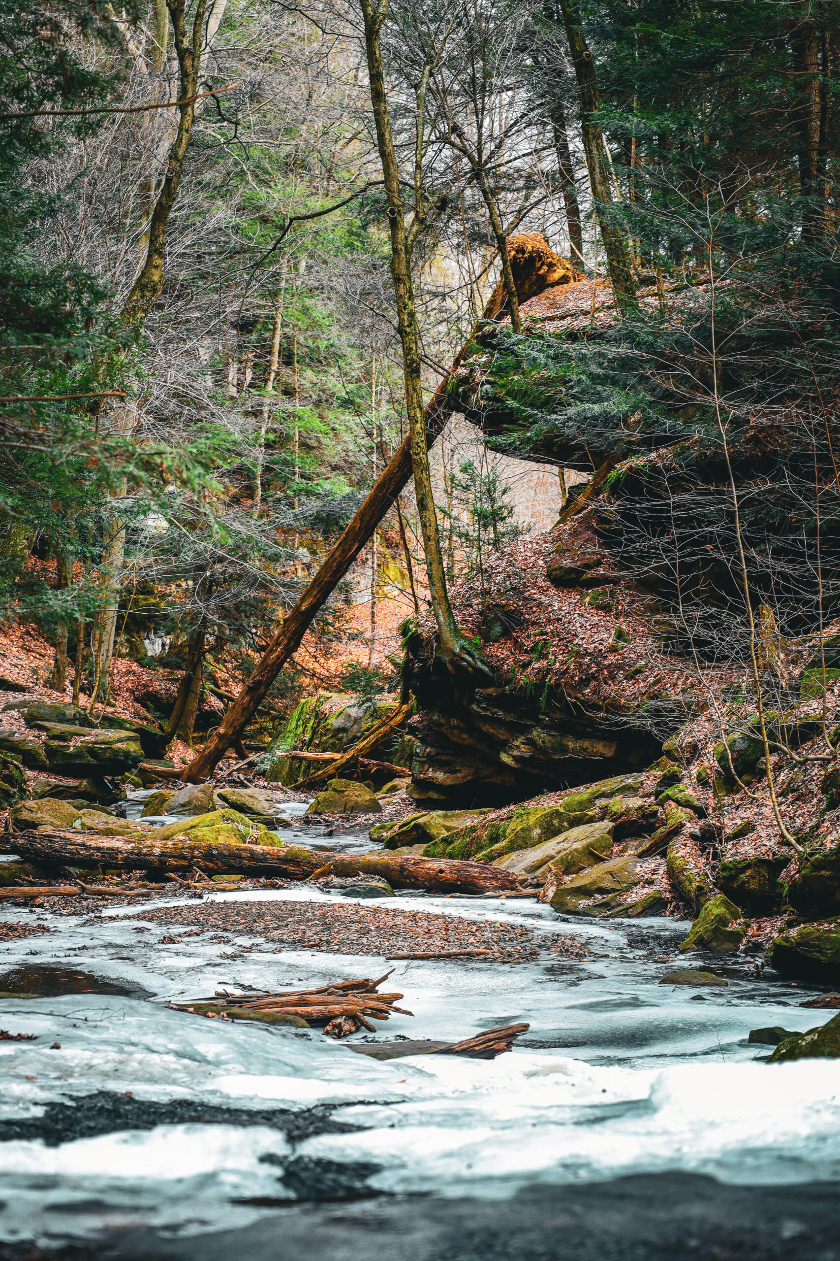 Dundee Falls