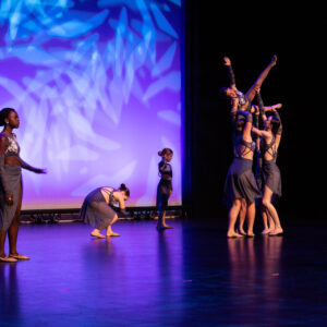 studio44 - IMG_2909.jpg
