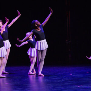 studio44 - IMG_4159.jpg