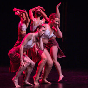 studio44 - IMG_4681.jpg