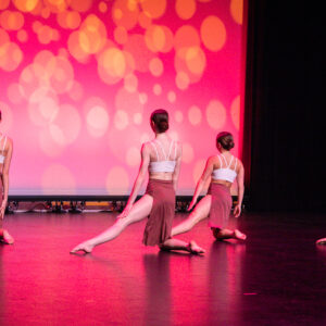 studio44 - IMG_4730.jpg